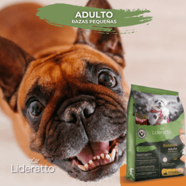 2_Producto_Adulto RP