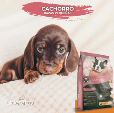 2_Producto_Cachorro RP