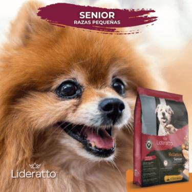 2_Producto_Senior RP