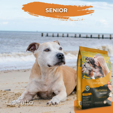 2_Producto_Senior