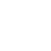 Grupo 401