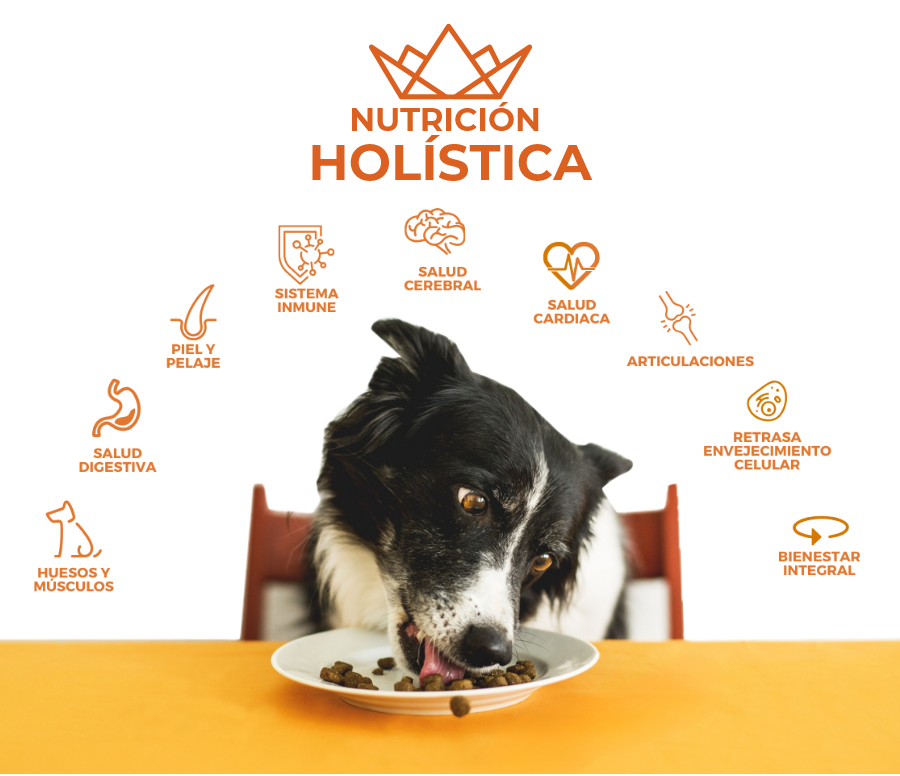 Nutrición Holística
