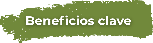 Beneficios Clave RP