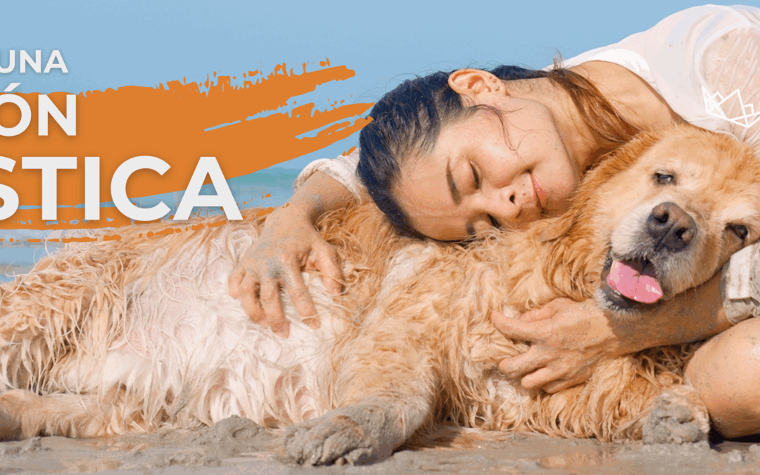 ¿Qué es la nutrición holística en perros y por qué sí importa?