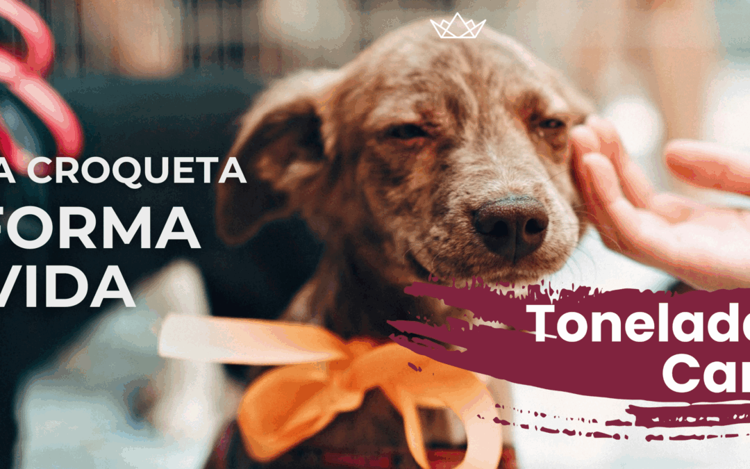 Toneladas de Cambio: cuando cada croqueta transforma una vida