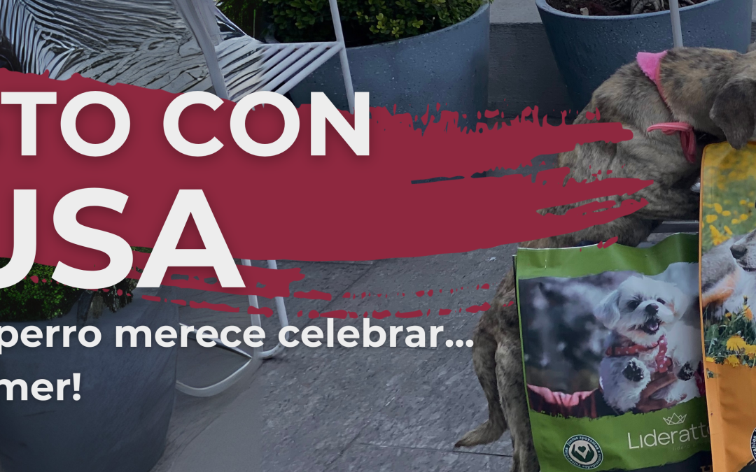 Agosto con causa: porque cada perro merece celebrar… y también comer.