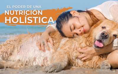 ¿Qué es la nutrición holística en perros y por qué sí importa?