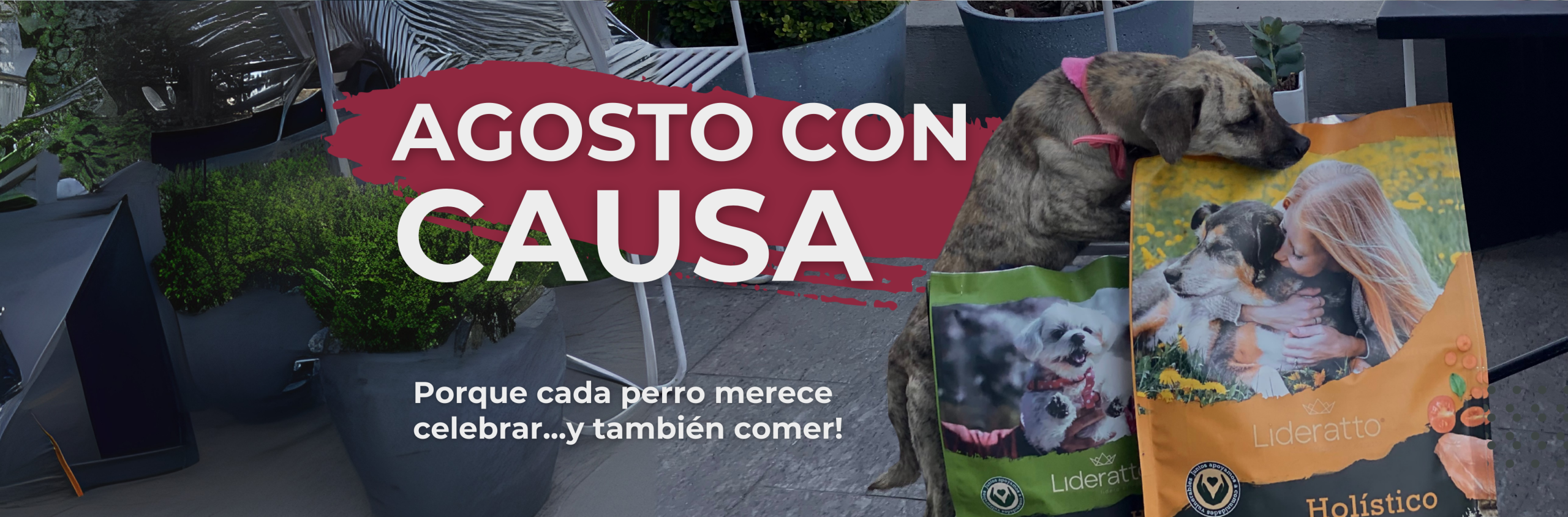 Banner_agosto con causa