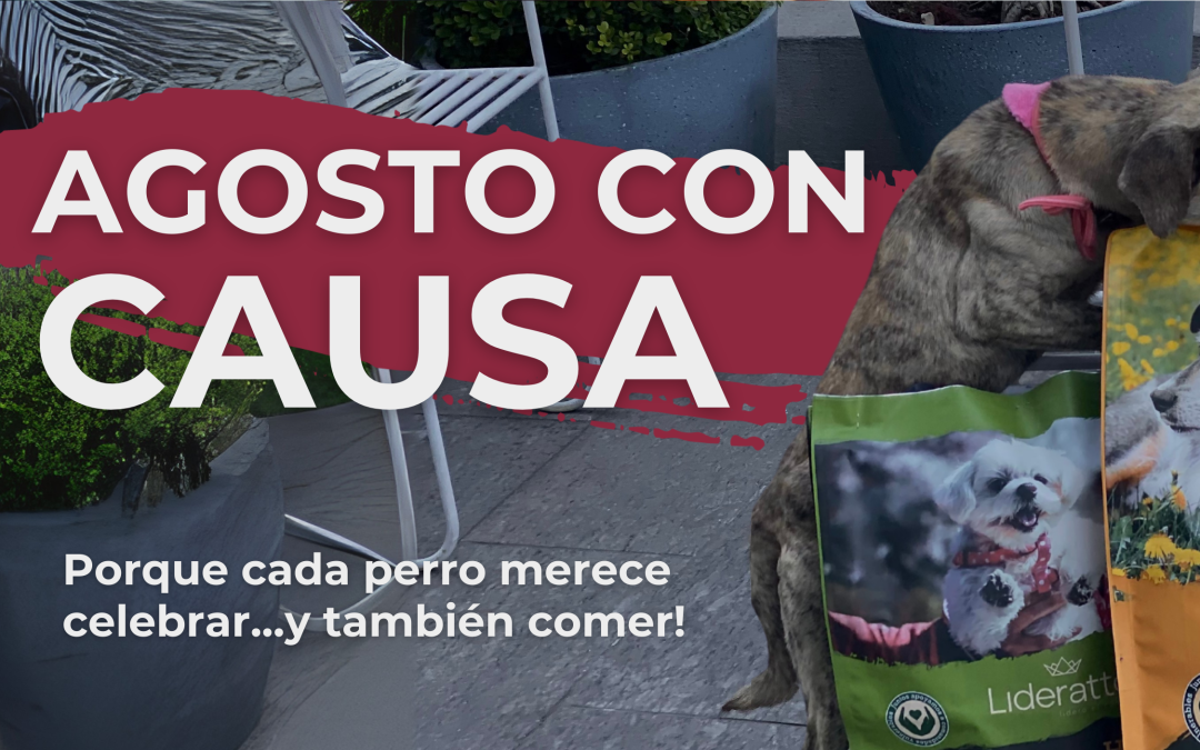 Agosto con causa: porque cada perro merece celebrar… y también comer.