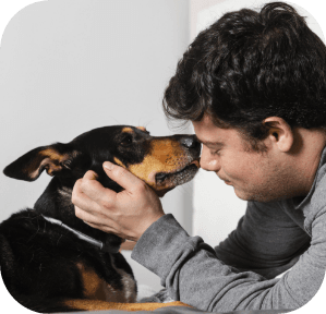 adoptado